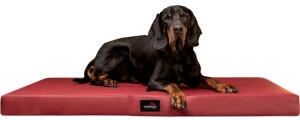 Tierlando ® Orthopädische Hundematratze ALICE EASY CLEAN Kunstleder Hundebett dunkelrot 80 cm, 9 cm, 60 cm