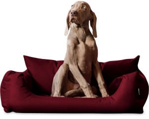 Tierlando NEMO Hundebett Hundesofa S M L Hundekorb Katzenbett 65 80 100cm bordeaux 1 m, 25 cm, 80 cm