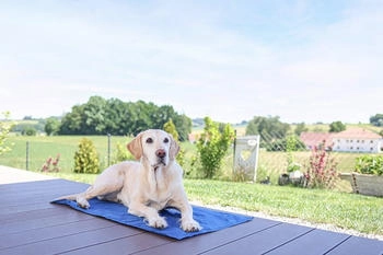 Kerbl K&uuml;hlmatte Cool-Relax f&uuml;r Hunde und Katzen blau (80841)