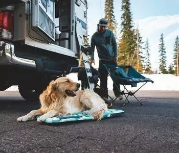 Ruffwear Hundekissen Basecamp Foldable Dog Bed Sweeping Sage, Größe: S