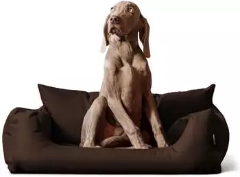 Tierlando NEMO Hundebett Hundesofa S M L Hundekorb Katzenbett 65 80 100cm braun 1 m, 25 cm, 80 cm