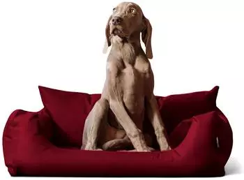 Tierlando NEMO Hundebett Hundesofa S M L Hundekorb Katzenbett 65 80 100cm dunkelrot 1 m, 25 cm, 80 cm