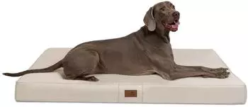 Tierlando ® HUGO Ortho Plus Orthopädische Hundematratze creme 1,5 m, 13 cm, 1 m