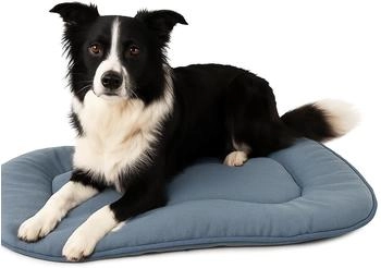 Flamingo Kissen Firenze dünn oval blau für Hunde, Maße: 71 x 51 x 3 cm
