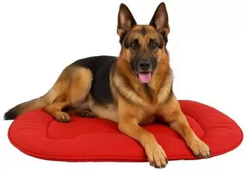 Flamingo Kissen Firenze dünn oval rot für Hunde, Maße: 97 x 61 x 3 cm