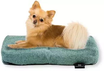 Rohrschneider ® Hundebett mit Anti-Rutsch-Boden, strapazierfähiges Kissen für Hunde und Katzen, B47 x T30 x H7 cm, inkl. Gratis-Wassernapf