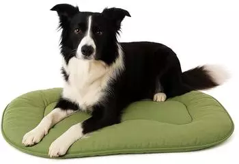 Flamingo Kissen Firenze dünn oval grün für Hunde 71 x 51 x 3 cm