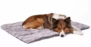 CopcoPet Tierdecke Cheyenne Grau 80 x 100 cm