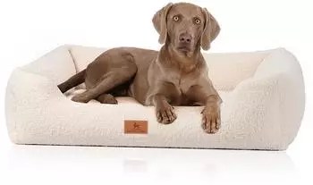 Knuffelwuff orthopädisches Hundebett Wollekopp XL 105 x 75cm Beige