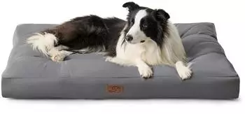 Bedsure Hundebett kühlend 91x68x10 cm dunkelgrau
