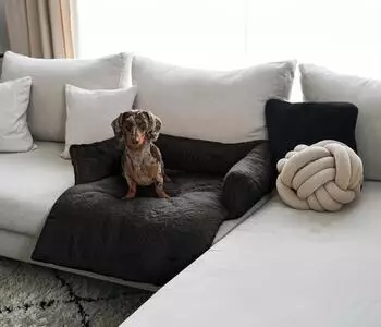 District70 NUZZLE Sofa Dog Bed dark grey