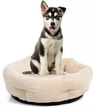 Wallace & Jones Hundebett Cloey