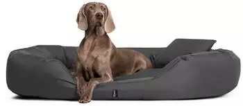 Tierlando Orthop&auml;disches Hundebett SAMMY Robuster Polyester Dicke Umrandung Gr&ouml;&szlig;e: 170x110cm Farbe: 02 Graphit