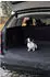 Kerbl Pet Economy Auto-Schondecke schwarz 170x100cm
