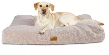 Freudentier orthop&auml;disches Hundekissen Teddy L
