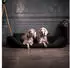 Tierlando Orthopädisches Hundebett SAMMY Pflegeleichtes Kunstleder L-XXXXL Größe: 170x110cm Farbe: 03 Schwarz