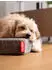 TrendPet VitaMedog 95° orthopädische Matratze XL