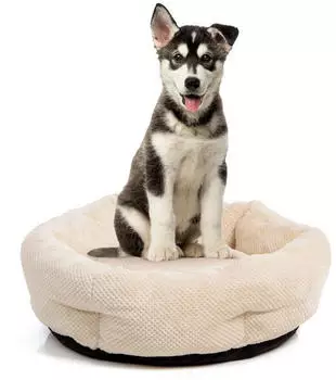 Wallace & Jones Hundebett Cloey Größe: S 50 x 50 x 15cm 50 cm x 50 cm
