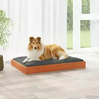 Hundebett Wachsbraun 92 X 64 X 9 Cm Massivholz Kiefer Vidaxl