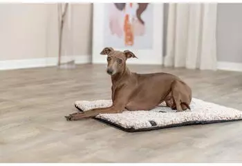 Trixie Liegematte Calida wei&szlig;-braun f&uuml;r Hunde 140 x 85 cm