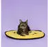 coockoo Spieldecke für Katzen Big Smile gelb