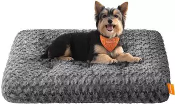 Feandrea Hundebett Hundekissen M-XXL lauschige Plüsch waschbar M
