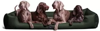 Tierlando Orthop&auml;disches Hundebett GOOFY >> inkl. Matratzenschoner << Polyester Gr&ouml;&szlig;e: 160x110cm Farbe: 26 Olivgr&uuml;n