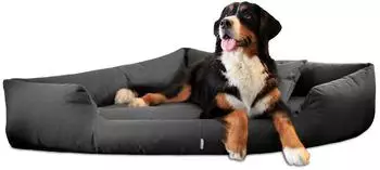 Tierlando Orthop&auml;disches Hundebett Trivia aus Robustem Polyester Platzsparendes Dreieckbett mit Visco-Matratze Gr&ouml;&szlig;e: 80x80cm Farbe: 02 Graphit