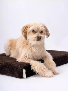TrendPet VitaMedog orthop&auml;dische Matratze, Memory Foam, braun, 75x55x7cm