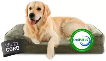 Lumaland Orthop&auml;disches Hundebett aus Cord 110x75cm, Memory-Schaumstoff, rutschfest