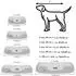BedDog MAX Quattro Hundebett 2in1 Cordura, grau-anthrazit, M (MAXQ-M-ROCK-FLOW)