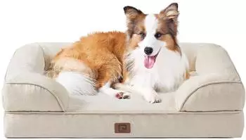 LuxusKollektion Orthop&auml;disches Hundebett Memory Foam, 104x69cm, beige, wasserdicht