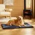 Bedsure Hundematte XXL 121x76cm Sherpa-Plüsch dunkelgrau