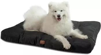 LuxusKollektion Hundekissen XXL 120x90cm, orthop&auml;disch, waschbar, 10cm, schwarz
