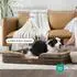 LuxusKollektion Orthopädisches Hundesofa 97x71cm, braun