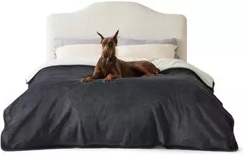 LuxusKollektion Tierdecke wasserdicht wendbar Sherpa Fleece XXXXL 274x218cm