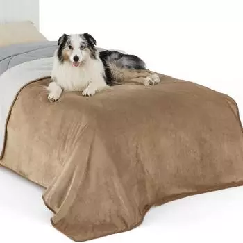 LuxusKollektion Hundedecke Sherpa Fleece, wasserdicht, kamel, 152x203cm