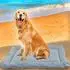 LuxusKollektion Hundedecke faltbar, wasserdicht, orthopädisch, blau, 86x58cm