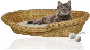 Rohrschneider Katzenk&ouml;rbchen geflochten, Wasserhyazinthe, mit Kissen, Gr&ouml;&szlig;e 2 (56x72cm)