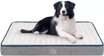 LuxusKollektion Hundebett L orthopädisch, wasserdicht, grau (90x60cm)