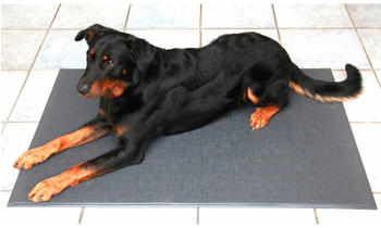 Heim Hundematte Isoliert (125 x 90 cm)
