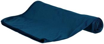 Trixie Anti Insekten Hundematte, 100 × 70 cm, dunkelblau