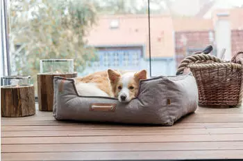Trixie Be Nordic Bett Föhr 60×50cm dunkelgrau