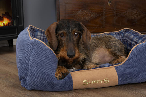 Scruffs Highland Dog Bed S blau