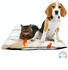 riijk Selbstheizende Decke für Katzen und Hunde 60x40cm beige