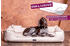 Tierlando Orthopädisches Hundebett Goofy Visco 110cm creme