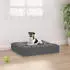 vidaXL Hundebett Kiefer ohne Rand