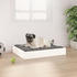 vidaXL Hundebett Kiefer ohne Rand