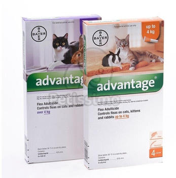 Advantage Spot On für Katzen und Zierkaninchen bis 4kg 4x0,8ml (Advantage 80)