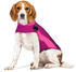 Thundershirt für Hunde